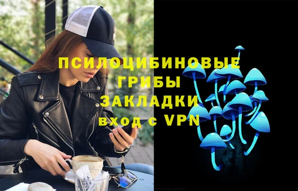 МДПВ Алексин